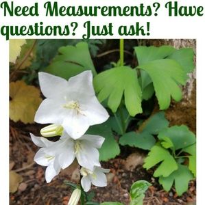 💜 No Regrets Zone 💜